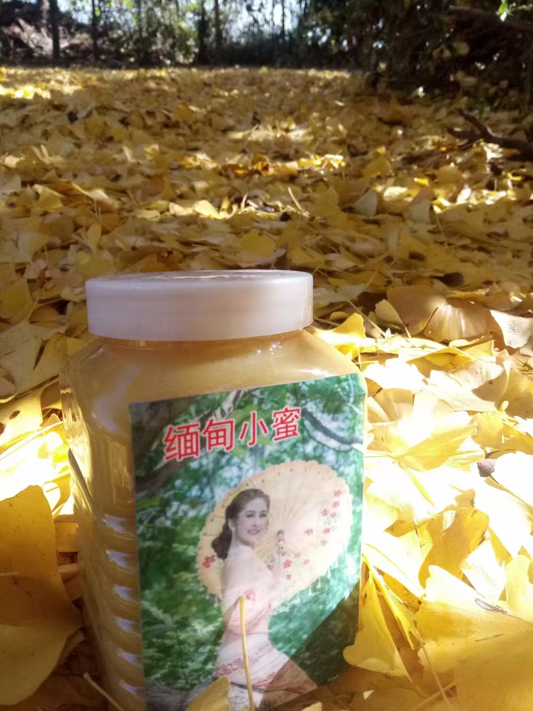 缅甸小蜜蜂蜜